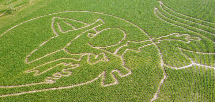 SN_Content_Hub_Corn_Maze_Zeno
